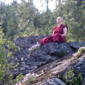 Venerable Chonyi meditating outside.