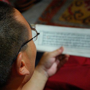 Monk reading a Tibetan pecha.