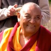 Khensur Jampa Tegchog smiles at the camera.