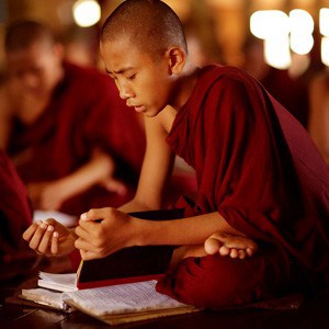 Young novice studying.