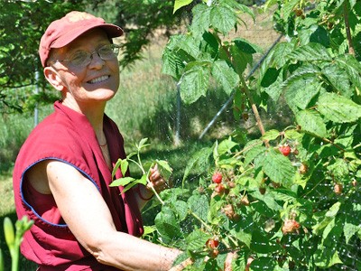 Ven. Semkye tending to a berry bush.