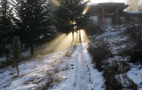 Snow path with sun burst