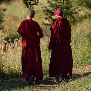 Venerables Samten and Jampa walking together.