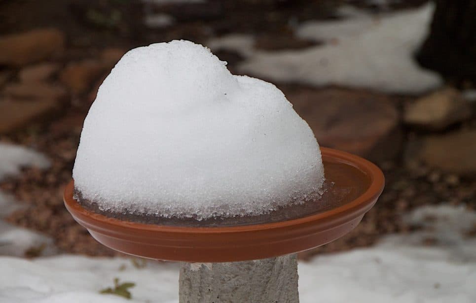 Pile of snow melting in a bird bath