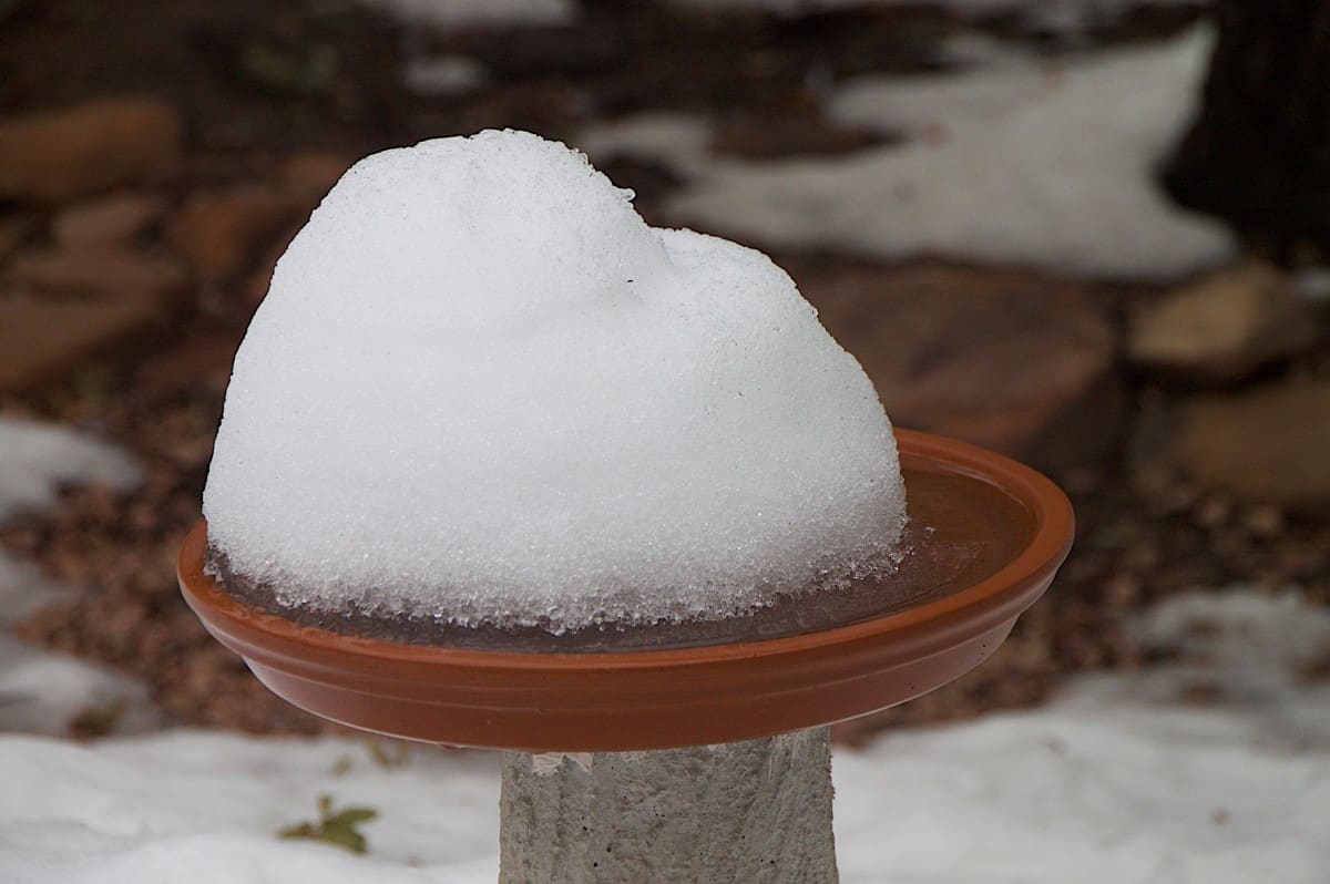 Pile of snow melting in a bird bath