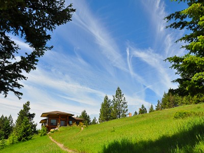 Blue sky and green meadow at Sravasti Abbey.