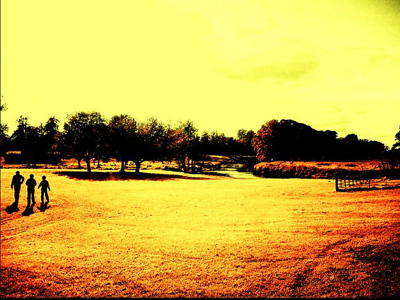 Yellow-toned image of brothers walking through a field.