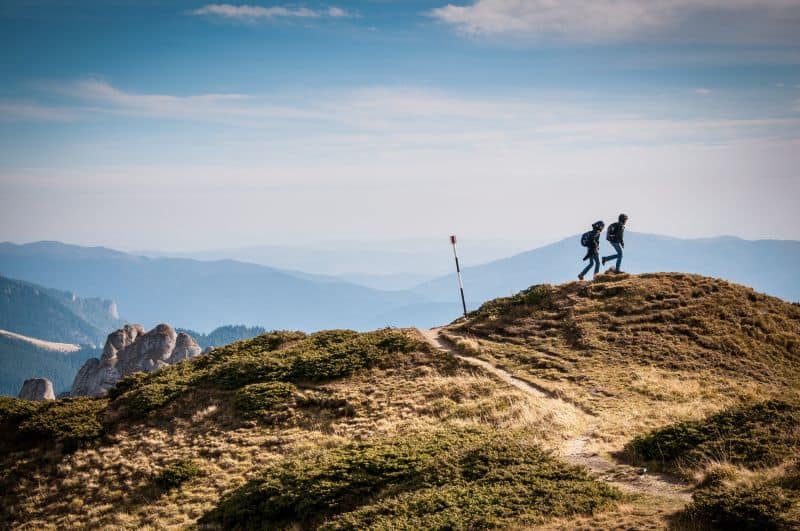 Two people hiking in bug landscape