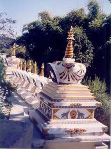 Stupas at Kopan Monastery, Nepal