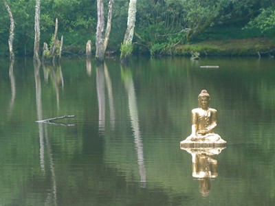 A gold buddha statute on a river.