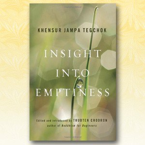 Cover of Insight into Emptiness.