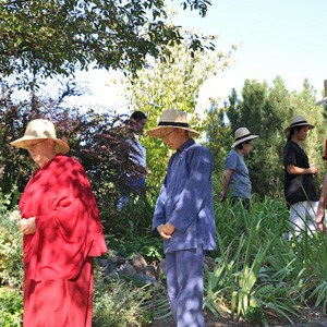 Venerable Jigme leading walking meditation at the Abbey.