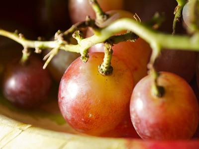 Grapes on a vine.