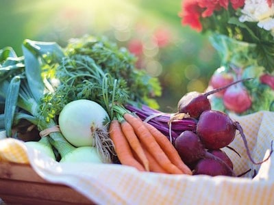 Colorful harvest of carrots, onions and beets.