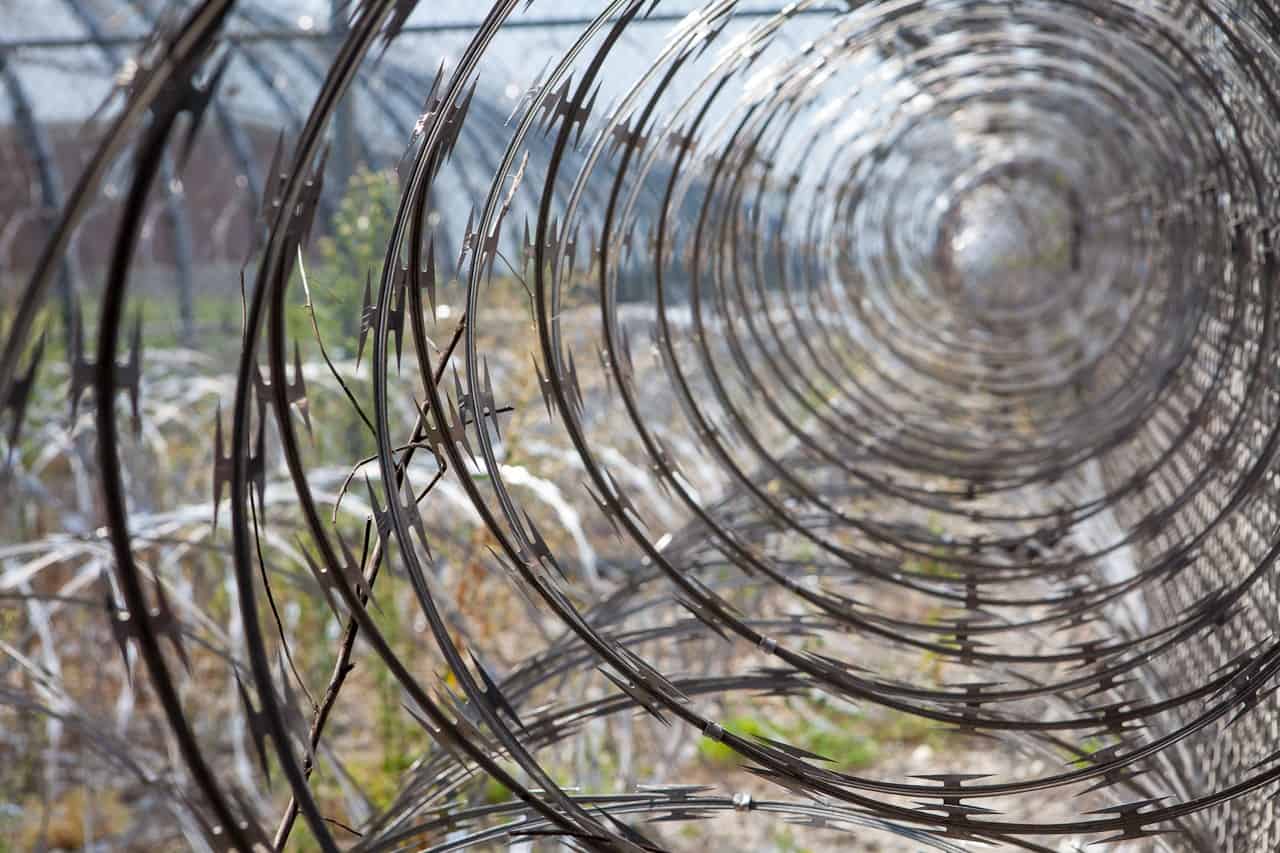 Barbed wire in a garden.