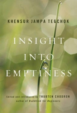 Book cover of Insight Into Emptiness