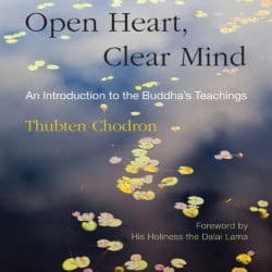 Book cover of Open Heart Clear Mind