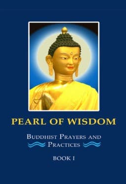 Book cover of Pearl of Wisdom I