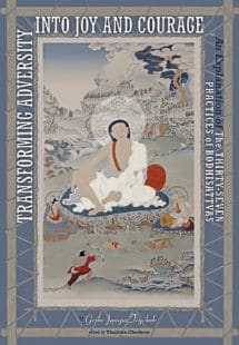 Book cover of Transforming Adversity
