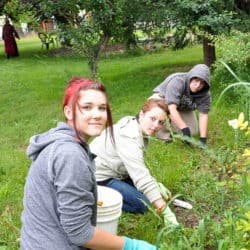 Three young adults help to pull weeds out from the flower garden.