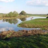 Green meadow with a small lake.