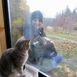 Sravasti Abbey trainee carries Maitri the cat to connect with Mudit the cat through a window.