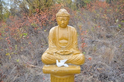 Buddha statue on a pedestal outdoors with a small ceramic white dove in front of him.