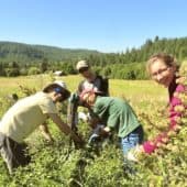 A group of young people work together outside harmoniously.