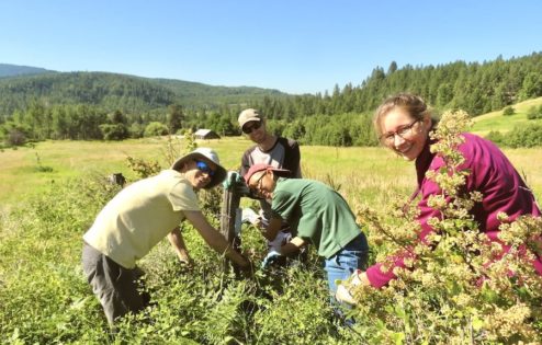 A group of young people work together outside harmoniously.