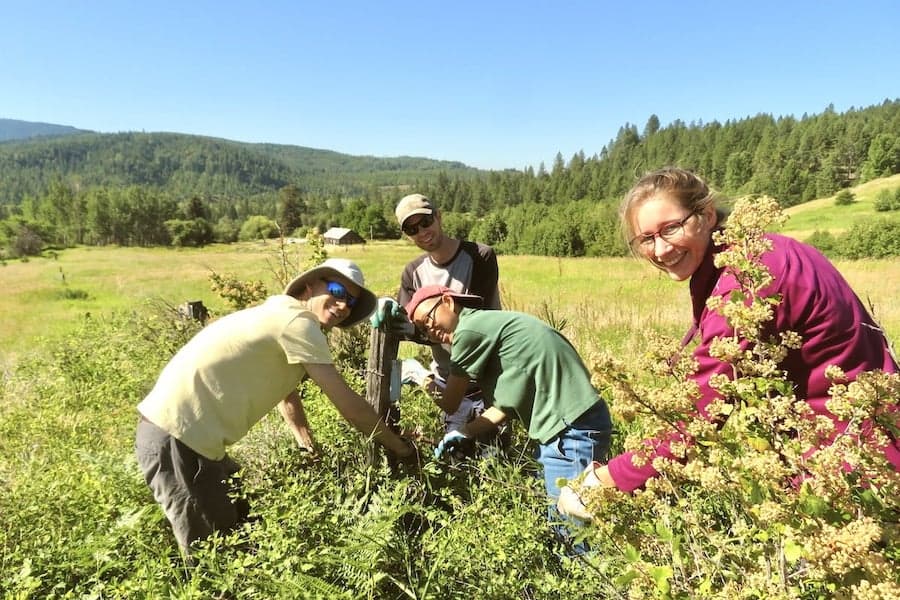 A group of young people work together outside harmoniously.