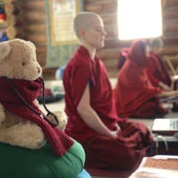 A stuffed toy bear sits on a meditation cushion together with monastics.