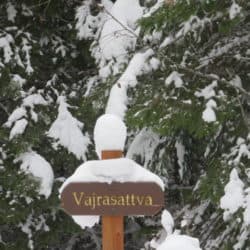 A wooden sign reads "Vajrasattva" in front of a tree covered in snow.