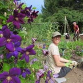 A young woman works in the Sravasti Abbey garden.