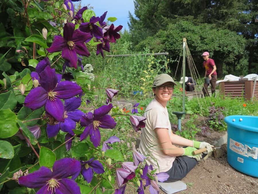 A young woman works in the Sravasti Abbey garden.