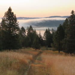 A path on the meadow in autumn through trees against mountains and cloudy sky.