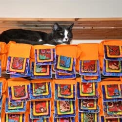 Maitri the cat sits on top of a shelf of Tibetan texts.