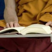 A Tibetan Buddhist monastic reads a book.