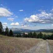 Path in the meadow below a bright blue sky.