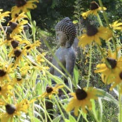 Yellow flowers boom in the garden around a buddha statue.