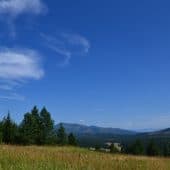 Blue sky with wispy clouds above a meadow.