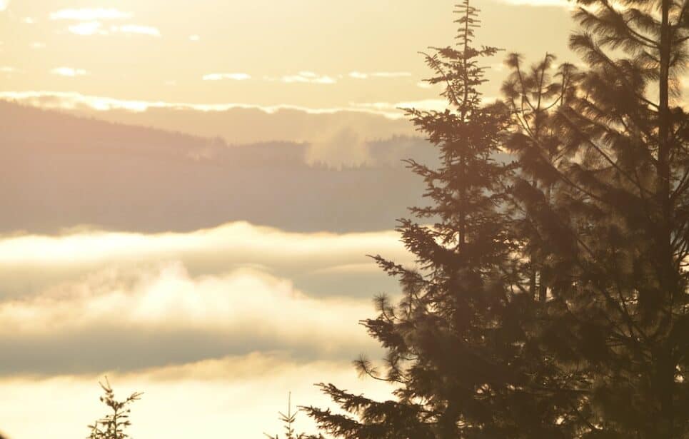 Sunrise behind mountain and clouds, with a silhouette of trees in the foreground.