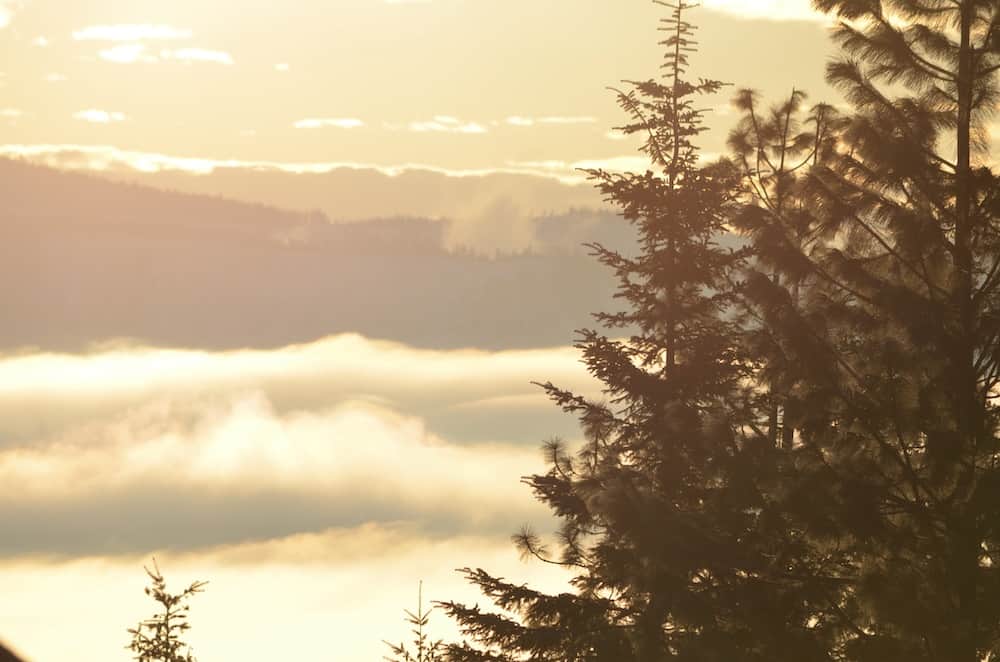 Sunrise behind mountain and clouds, with a silhouette of trees in the foreground.