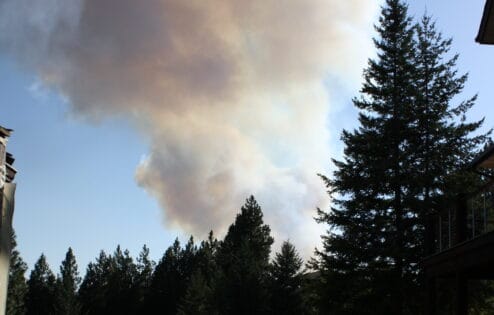 Smoke billowing behind a silhouette of trees.