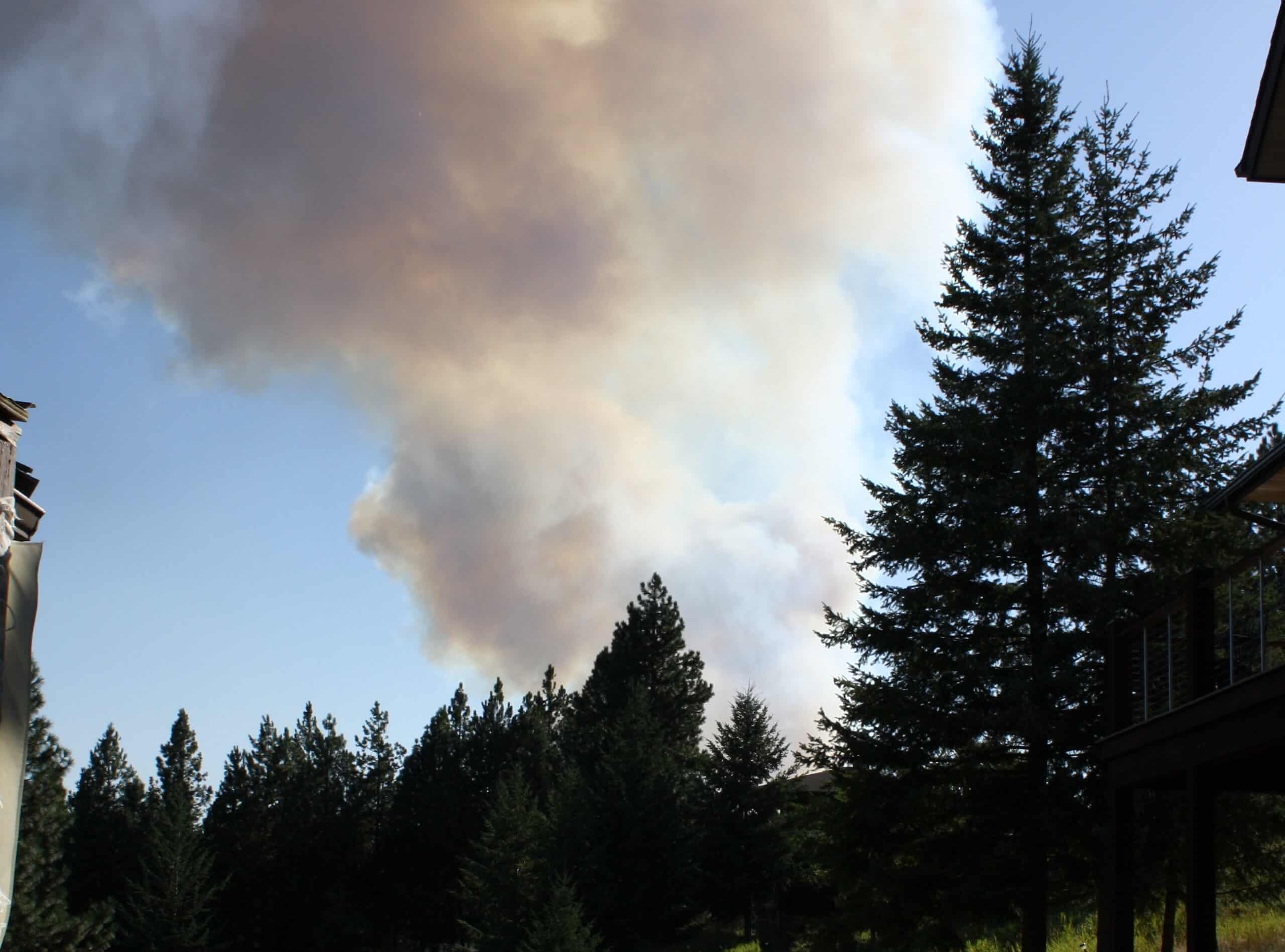 Smoke billowing behind a silhouette of trees.